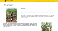Desktop Screenshot of bodegastornero.com